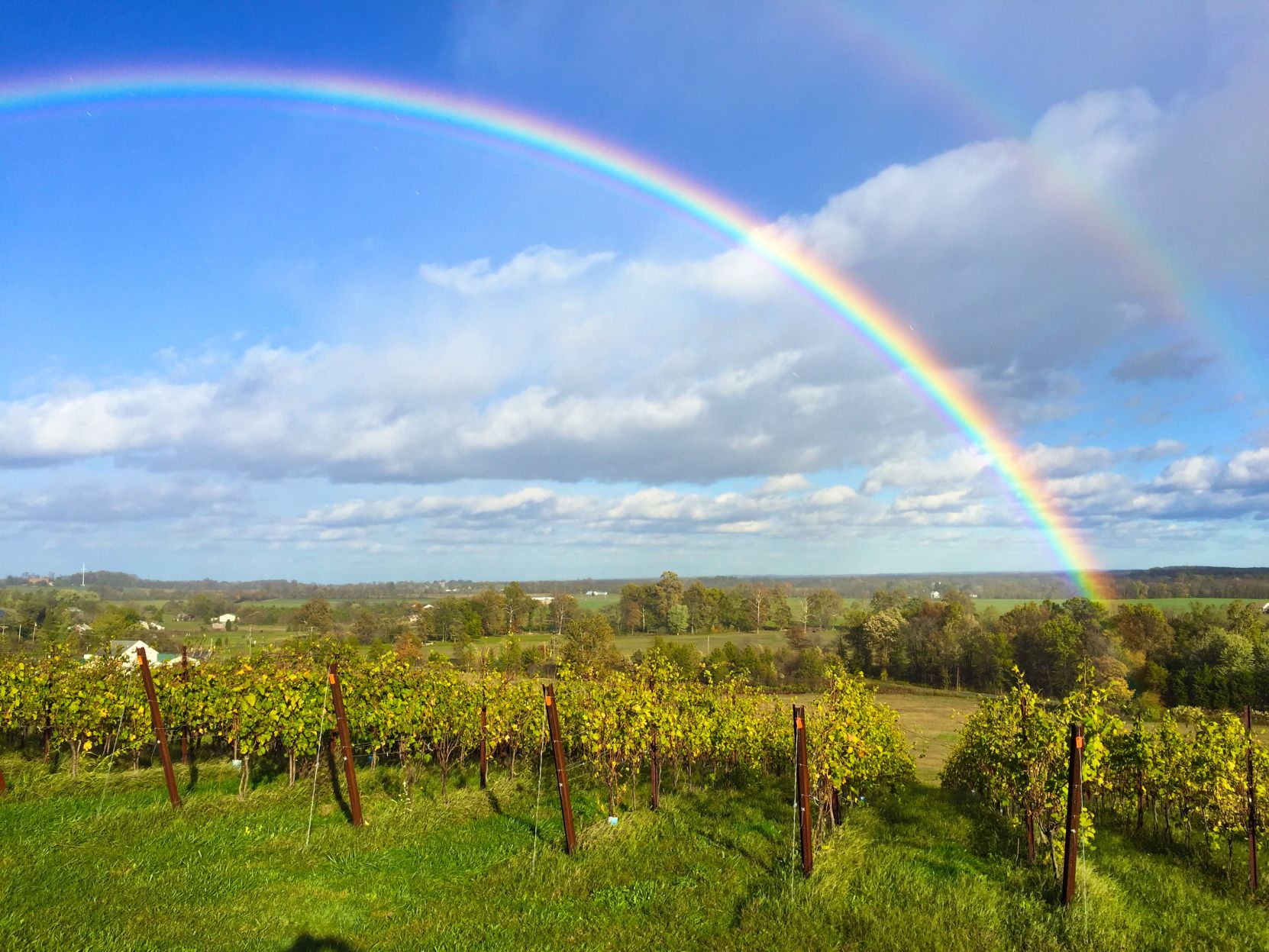 winery